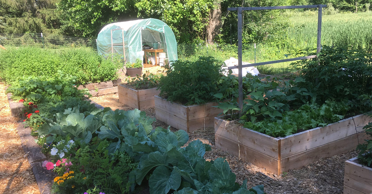 Raised Gardens Keller Homestead